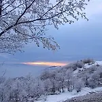 Vitapark Carpaty 4* Zhdeniievo