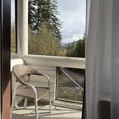 Vitapark Carpaty 4* Zhdeniievo