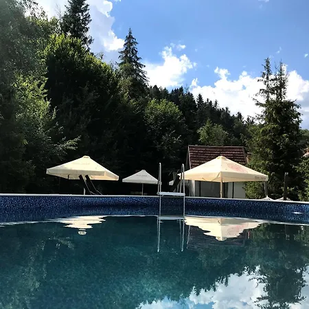 Vitapark Carpaty 4* Zhdeniievo
