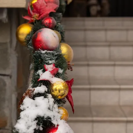 ホテル Vitapark Carpaty