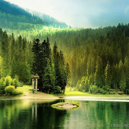 Hotel Vitapark Carpaty Zhdeniievo