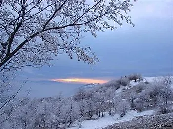 Vitapark Carpaty 4* Zhdeniievo