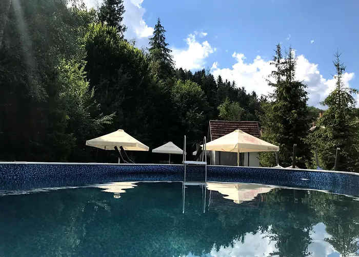Vitapark Carpaty 4* 泽德尼耶沃