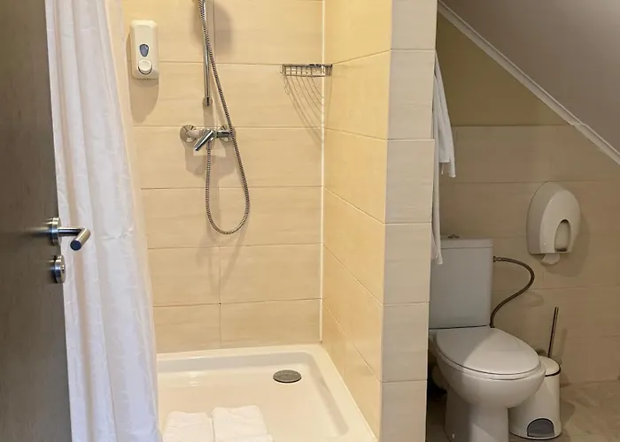 Vitapark Carpaty 4* 泽德尼耶沃