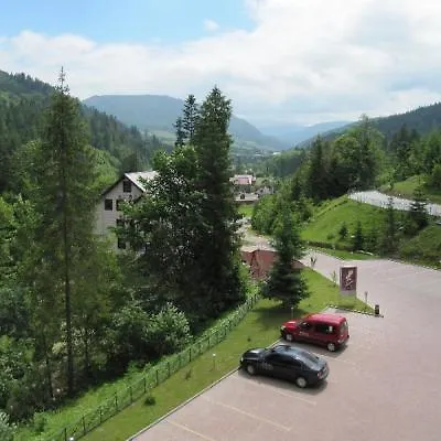 Отель Vitapark Carpaty